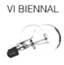 VI_Biennal.png